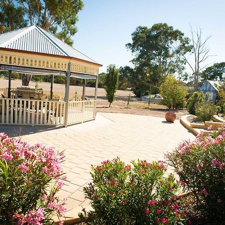 Barossa Vineyard Cottages Tanunda Exteriér fotografie