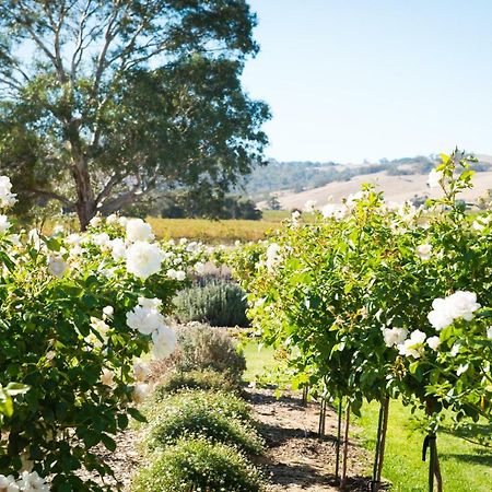 Barossa Vineyard Cottages Tanunda Exteriér fotografie