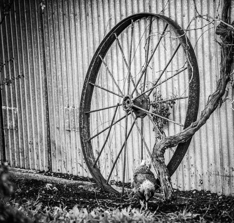 Barossa Vineyard Cottages Tanunda Exteriér fotografie