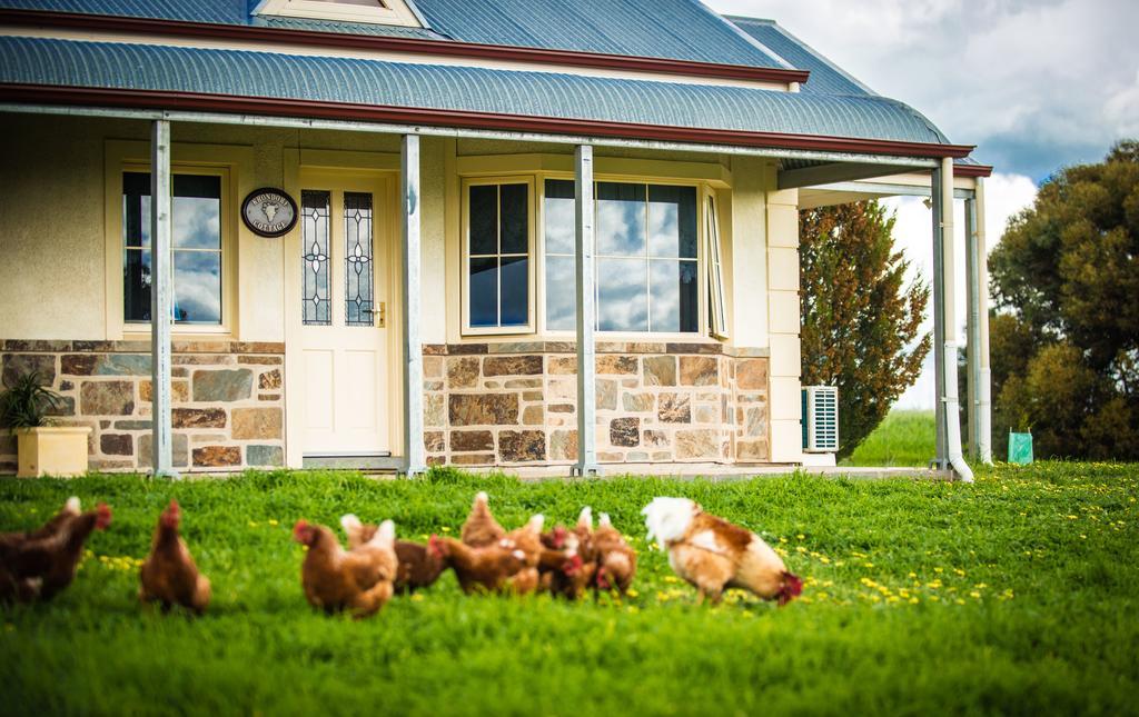 Barossa Vineyard Cottages Tanunda Exteriér fotografie
