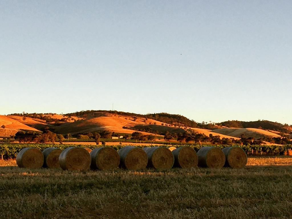 Barossa Vineyard Cottages Tanunda Exteriér fotografie