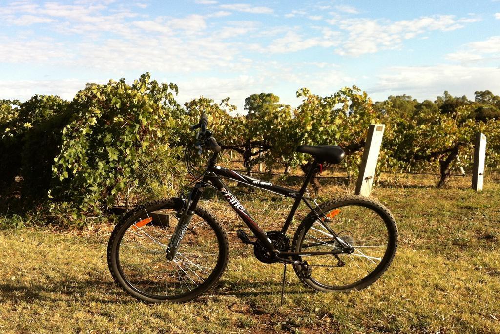 Barossa Vineyard Cottages Tanunda Exteriér fotografie