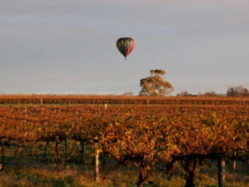 Barossa Vineyard Cottages Tanunda Exteriér fotografie