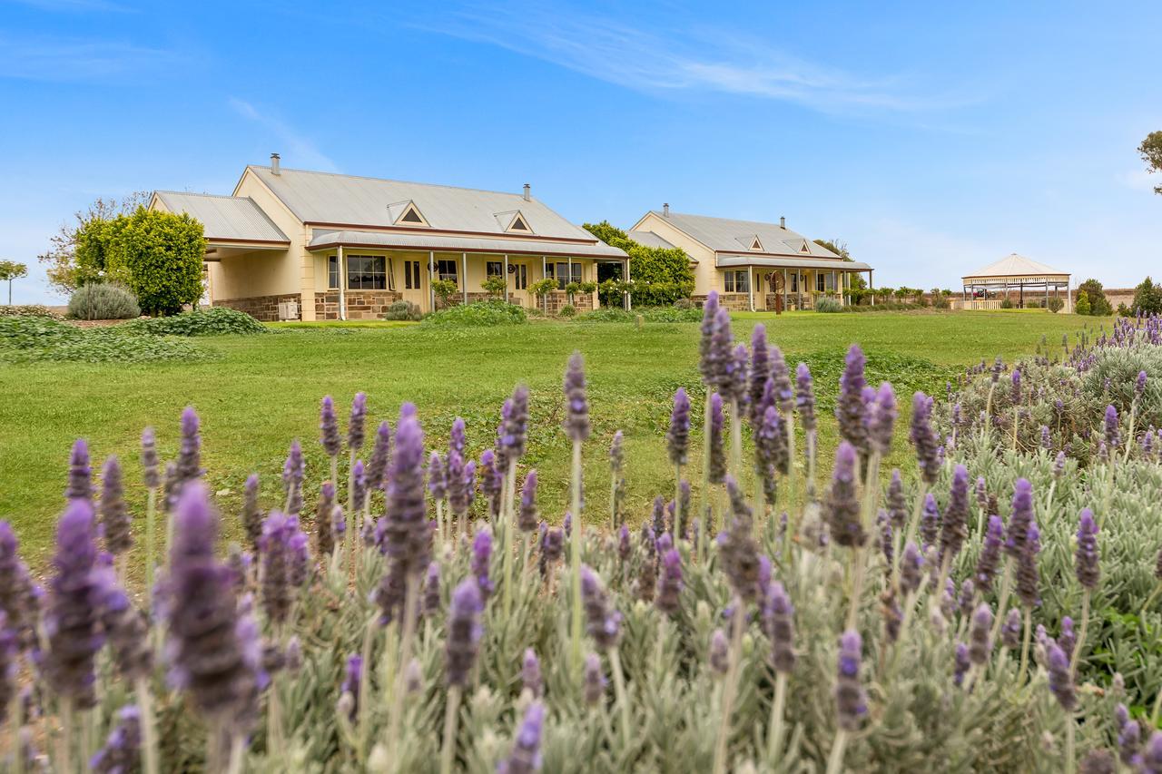 Barossa Vineyard Cottages Tanunda Exteriér fotografie