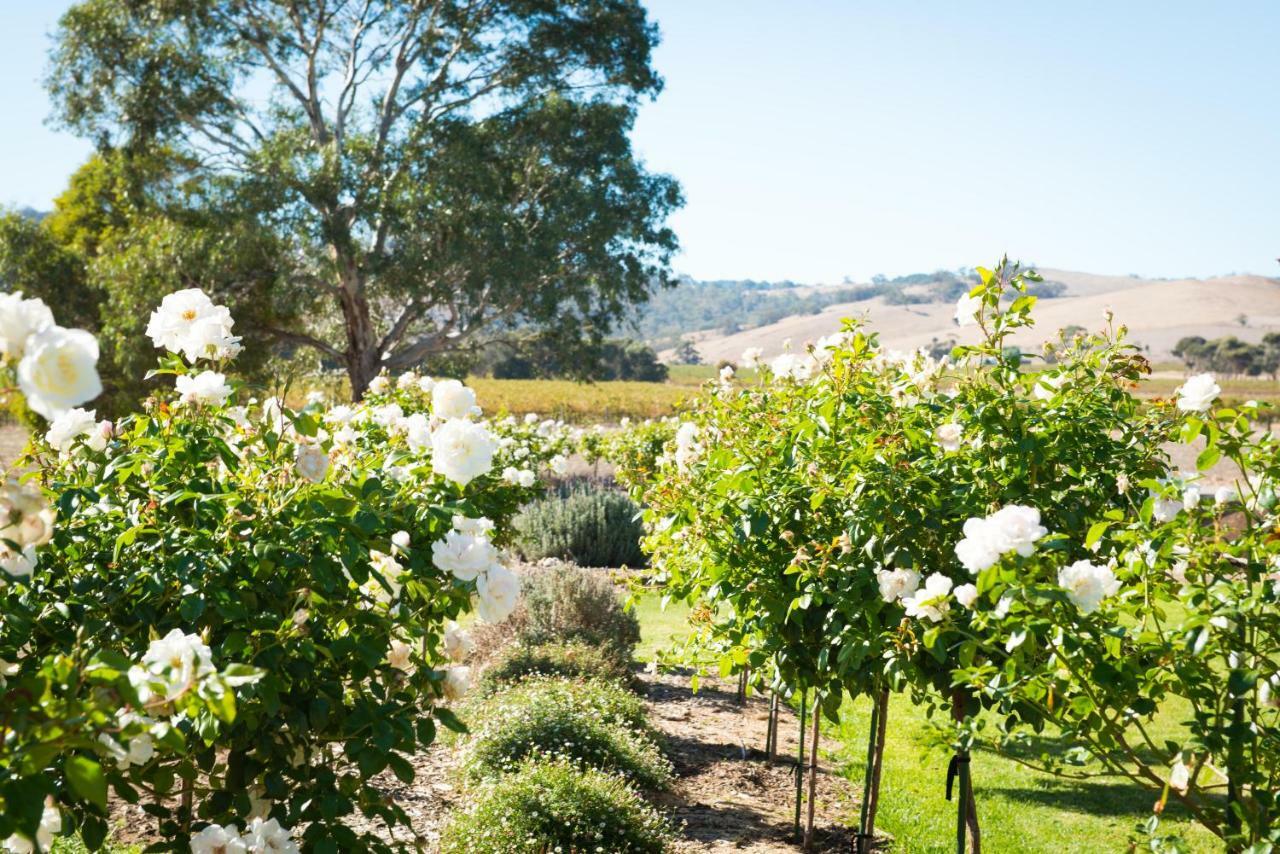 Barossa Vineyard Cottages Tanunda Exteriér fotografie